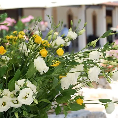 Masseria La Grande Quercia Mottola
